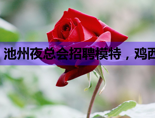 池州夜总会招聘模特，鸡西酒吧与河源夜店行业新动态
