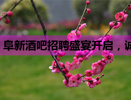 阜新酒吧招聘盛宴开启，诚邀行业精英共创辉煌