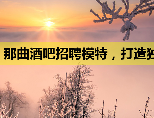 那曲酒吧招聘模特，打造独特夜生活