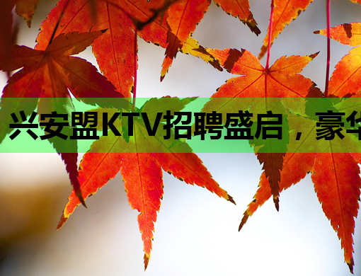 兴安盟KTV招聘盛启，豪华夜生活等你来嗨！