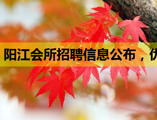 阳江会所招聘信息公布，优质岗位等你来挑战！