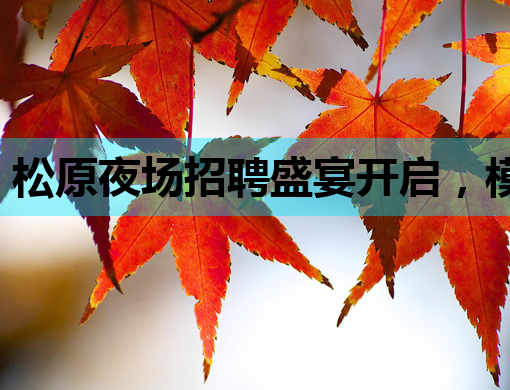 松原夜场招聘盛宴开启，模特岗位炙手可热