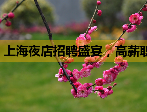 上海夜店招聘盛宴，高薪职位等你来挑战！
