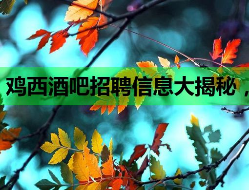 鸡西酒吧招聘信息大揭秘，高薪职位等你来挑战！