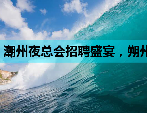 潮州夜总会招聘盛宴，朔州夜场嘉峪关酒吧同步抢人才