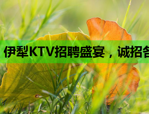 伊犁KTV招聘盛宴，诚招各界精英共创辉煌