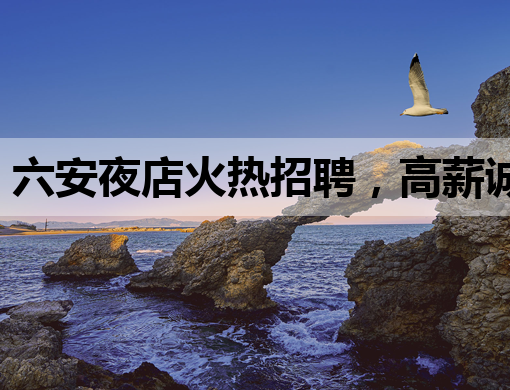 六安夜店火热招聘，高薪诚聘优秀人才
