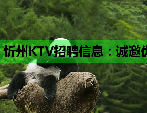 忻州KTV招聘信息：诚邀优秀人才加入我们的团队！