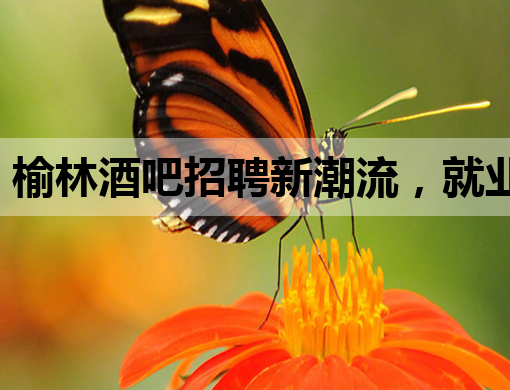 榆林酒吧招聘新潮流，就业新选择