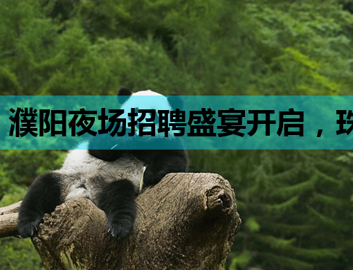 濮阳夜场招聘盛宴开启，珠海KTV招聘网助力，泰安酒吧经验可参考