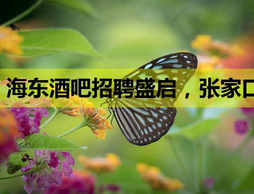 海东酒吧招聘盛启，张家口夜店招聘信息一览，延边夜场同步招募