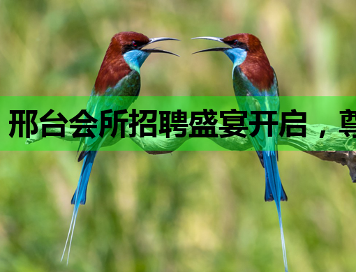 邢台会所招聘盛宴开启，尊享高品质职场生活
