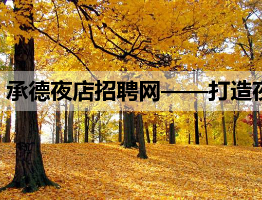 承德夜店招聘网——打造夜生活就业新平台