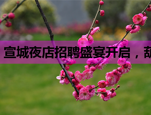 宣城夜店招聘盛宴开启，葫芦岛会所湘西酒吧等你来挑战！
