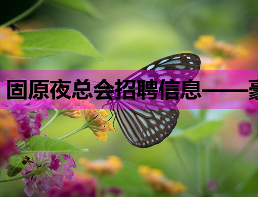 固原夜总会招聘信息——豪华夜店诚邀您的加入