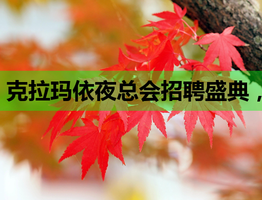 克拉玛依夜总会招聘盛典，平顶山会所模特与黔南夜店公关同步热招