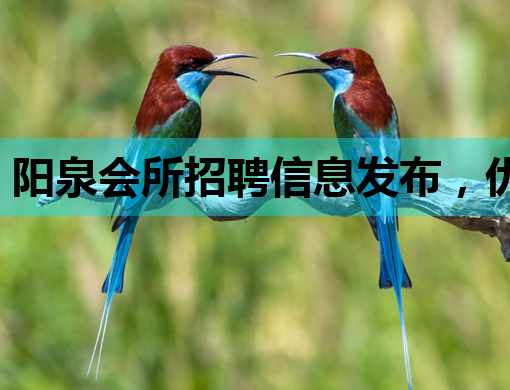 阳泉会所招聘信息发布，优质岗位等你来挑战！