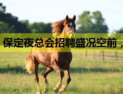 保定夜总会招聘盛况空前，优质岗位等你来挑战！