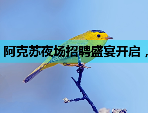 阿克苏夜场招聘盛宴开启，高薪职位等你来挑战！