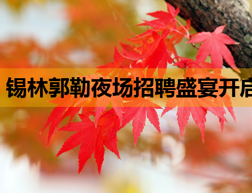 锡林郭勒夜场招聘盛宴开启，豪华阵容等你来挑战