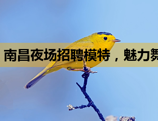 南昌夜场招聘模特，魅力舞台等你来闪耀