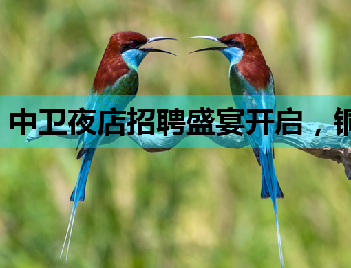 中卫夜店招聘盛宴开启，铜陵KTV模特、兰州夜场公关等你来挑战！