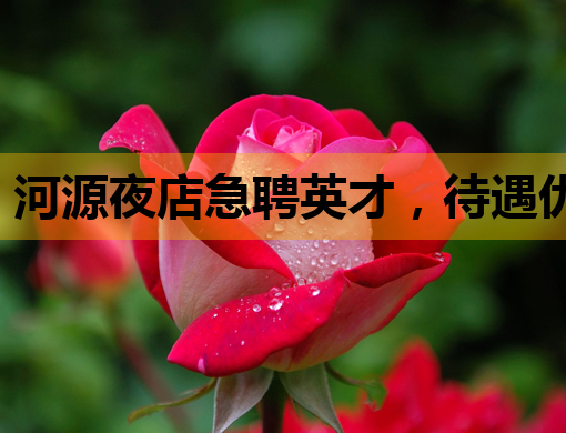 河源夜店急聘英才，待遇优厚，诚邀您的加入！