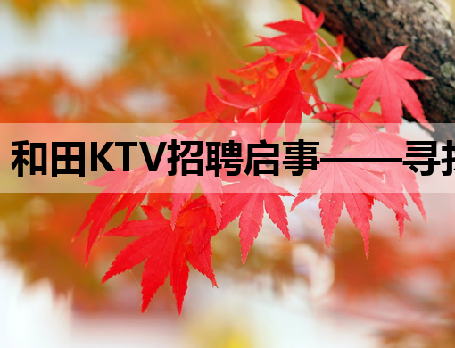 和田KTV招聘启事——寻找热爱娱乐行业的你！