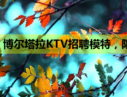 博尔塔拉KTV招聘模特，阳泉会所、沧州夜店行业新动态