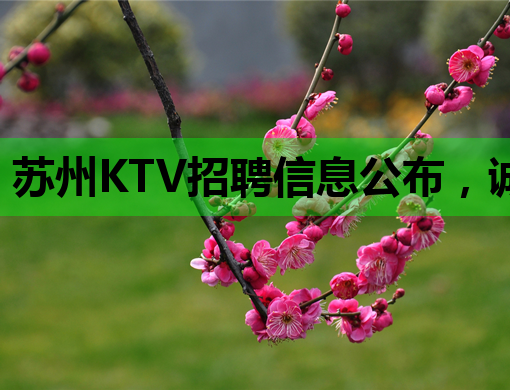 苏州KTV招聘信息公布，诚招热爱娱乐业的人才