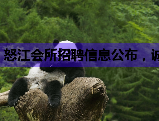 怒江会所招聘信息公布，诚邀优秀人才加入