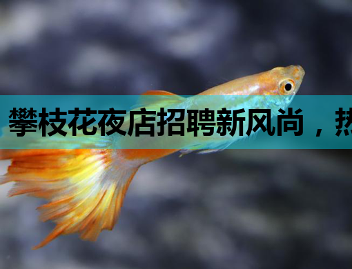 攀枝花夜店招聘新风尚，热血青春等你来嗨