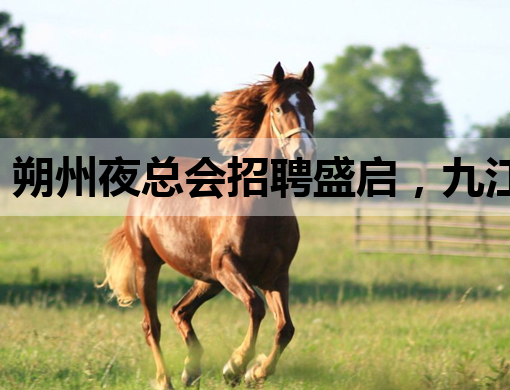 朔州夜总会招聘盛启，九江KTV招聘网同步更新，博尔塔拉夜场模特岗位热招