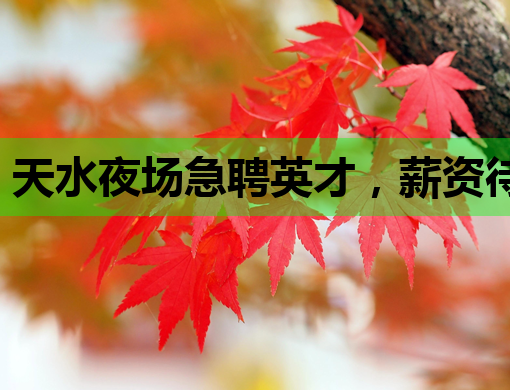 天水夜场急聘英才，薪资待遇优厚，机会难得！