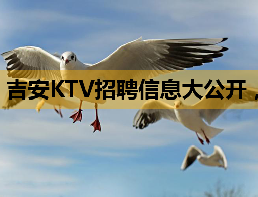吉安KTV招聘信息大公开，高薪诚聘优秀公关人才