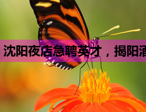 沈阳夜店急聘英才，揭阳酒吧林芝夜场同步热招