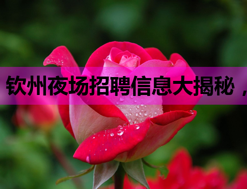 钦州夜场招聘信息大揭秘，高薪职位等你来挑战！