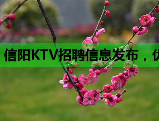 信阳KTV招聘信息发布，优质岗位等你来挑战！