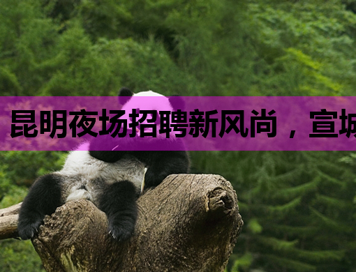 昆明夜场招聘新风尚，宣城夜总会招聘网助力，贵阳酒吧业蓬勃发展