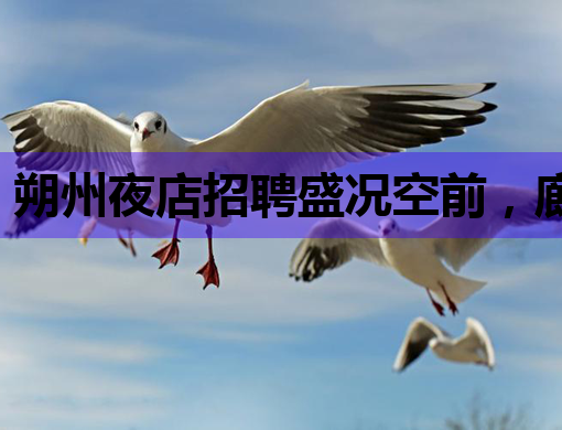 朔州夜店招聘盛况空前，廊坊酒吧海北夜总会同步抢人才