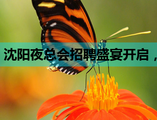 沈阳夜总会招聘盛宴开启，豪华夜店等你来挑战！