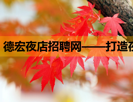 德宏夜店招聘网——打造夜生活职场新选择