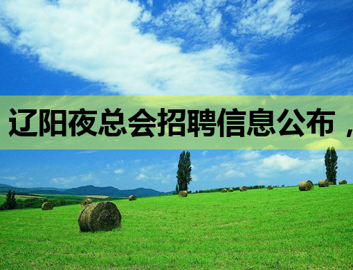 辽阳夜总会招聘信息公布，优质岗位等你来挑战！