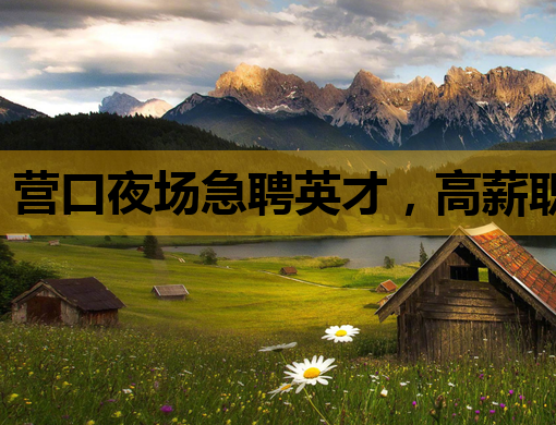 营口夜场急聘英才，高薪职位等你来挑战！