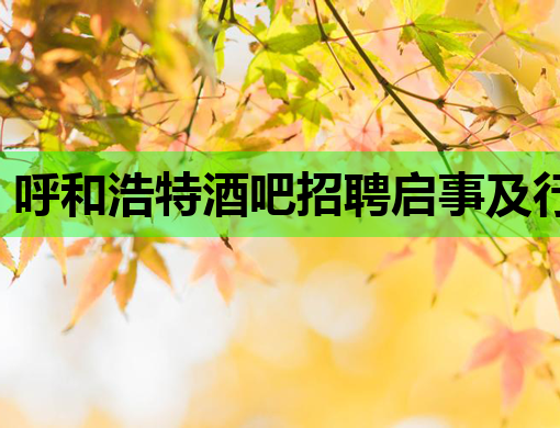 呼和浩特酒吧招聘启事及行业就业新机遇
