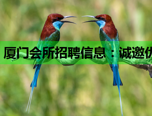 厦门会所招聘信息：诚邀优秀人才，共筑美好未来