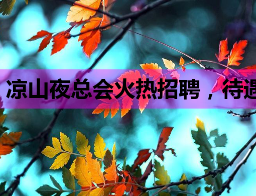 凉山夜总会火热招聘，待遇优厚，机会难得！