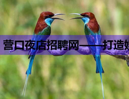 营口夜店招聘网——打造娱乐行业人才交流新平台