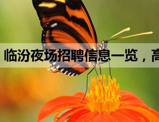 临汾夜场招聘信息一览，高薪职位等你来挑战！