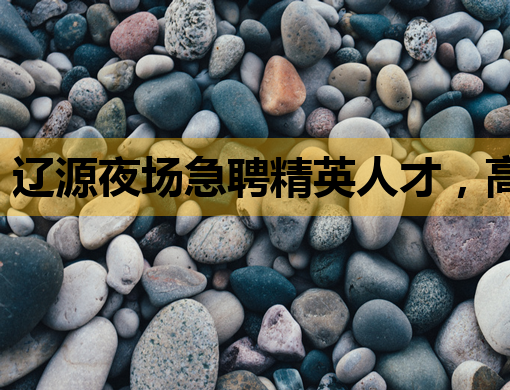 辽源夜场急聘精英人才，高薪职位等你来挑战——辽源夜场招聘信息